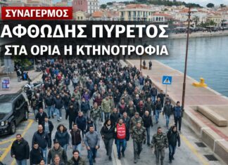 Αφθώδης πυρετός στη Λέσβο: Μπλοκαρισμένη αγορά, πίεση στο γάλα και αυξημένα μέτρα στον Έβρο