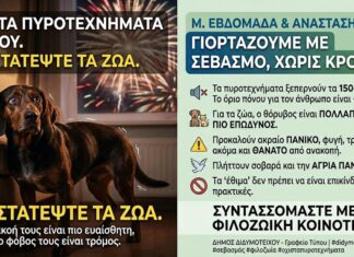 Δήμος Διδυμοτείχου: Προειδοποίηση για τη χρήση πυροτεχνημάτων κατά τη Μεγάλη Εβδομάδα