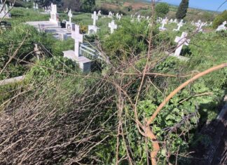 Ασπρονέρι Διδυμοτείχου: Επιστολή-καμπανάκι για την εικόνα εγκατάλειψης στο κοιμητήριο