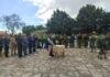 106η Επέτειος Απελευθέρωσης της Θράκης στον Δήμο Σουφλίου