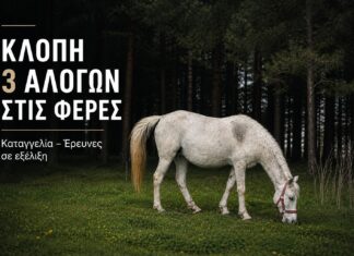 Καταγγελία για κλοπή τριών αλόγων στην περιοχή των Φερών – Έρευνες για τους δράστες