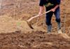 Σύλληψη στη Δράμα για παράνομες ανασκαφές σε χώρο με αρχαιολογικά ευρήματα