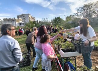 Αλεξανδρούπολη: 25.000 φυτά παραδοσιακών ποικιλιών διανεμήθηκαν από τους Σπορίτες Έβρου