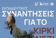 «LIFE for Lesser Kestrel»: Πάνω από 300 παιδιά σε Έβρο και Κιλκίς στην πρώτη γραμμή για την προστασία του Κιρκινεζιού