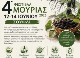 Στο Σουφλί το 4ο Φεστιβάλ Μουριάς από τις 12 έως τις 14 Ιουνίου