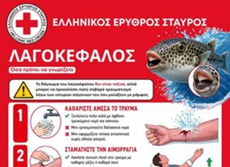Πρώτες βοήθειες σε περίπτωση δαγκώματος από λαγοκέφαλο: Συνέντευξη Νοσηλεύτριας-Εκπαιδεύτριας του Ε.Ε.Σ. Αλεξανδρούπολης