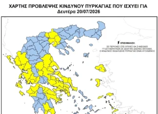 Χάρτης Πυρκαγιάς 20 Ιουλίου: Κίτρινη προειδοποίηση – Σε κατηγορία 3 το Κιλκίς, εκτός επικινδυνότητας ο Έβρος