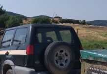 Δάσος Δαδιάς: Κρίσιμη η τροφική ενίσχυση για τη διάσωση των γυπών στο εθνικό πάρκο