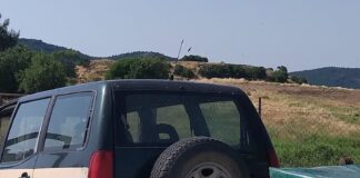 Δάσος Δαδιάς: Κρίσιμη η τροφική ενίσχυση για τη διάσωση των γυπών στο εθνικό πάρκο