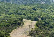 Από τη Δαδιά έως τη Σαμοθράκη: Έργα 90 εκατ. ευρώ για την προστασία των δασών του Έβρου