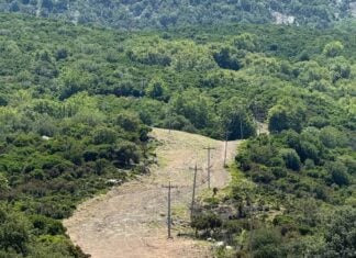 Από τη Δαδιά έως τη Σαμοθράκη: Έργα 90 εκατ. ευρώ για την προστασία των δασών του Έβρου
