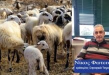 Αυστηροί έλεγχοι κατά τις ευλογιάς στην ΑΜ-Θ , με παραπομπή ακόμη και στον Εισαγγελέα