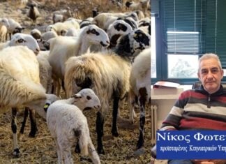 Αυστηροί έλεγχοι κατά τις ευλογιάς στην ΑΜ-Θ , με παραπομπή ακόμη και στον Εισαγγελέα
