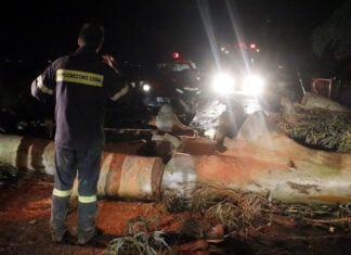 Σφοδρή κακοκαιρία στη Δράμα: Δέντρα ξεριζώθηκαν και δρόμοι πλημμύρισαν από την έντονη καταιγίδα