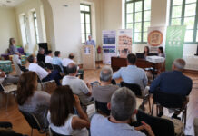 ΑΜΘ: Στο σύστημα «Έξυπνες Γέφυρες» εντάσσονται 62 γέφυρες της Περιφέρειας