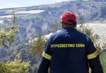 Φωτιά στον Άβαντα Αλεξανδρούπολης: Άμεση κινητοποίηση της Πυροσβεστικής – Σβήστηκε γρήγορα