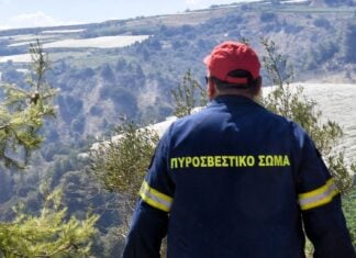 Φωτιά στον Άβαντα Αλεξανδρούπολης: Άμεση κινητοποίηση της Πυροσβεστικής – Σβήστηκε γρήγορα