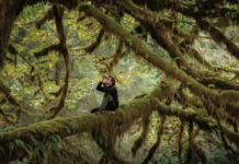 Αλεξανδρούπολη: Ακυρώνεται η σημερινή προβολή του ντοκιμαντέρ «Το Τραγούδι του Δάσους»