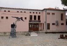 Αυξήθηκαν κατά 17% οι ξένοι επισκέπτες στο Δάσος της Δαδιάς το πρώτο εξάμηνο του 2026