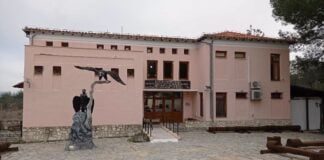 Αυξήθηκαν κατά 17% οι ξένοι επισκέπτες στο Δάσος της Δαδιάς το πρώτο εξάμηνο του 2026